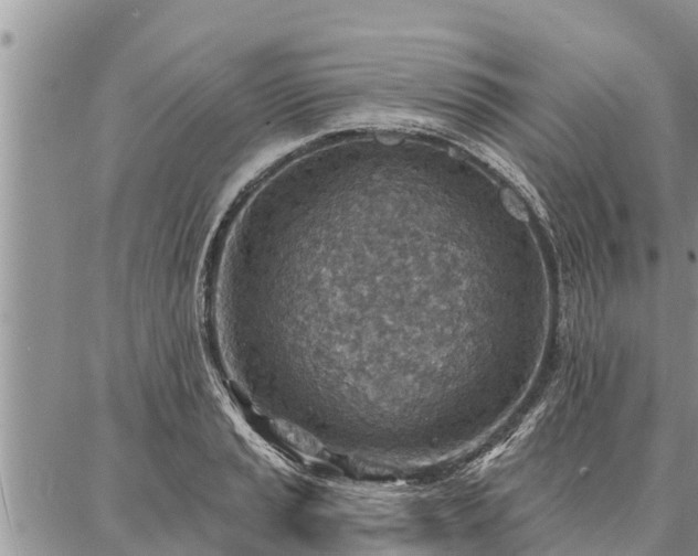 X0000086931037200704231325