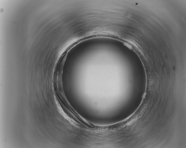 X0000086931038200704231325