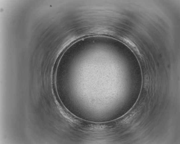 X0000086931039200704231325