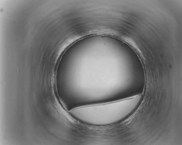 X0000086931040200704231325