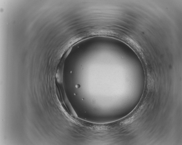 X0000086931041200704231325