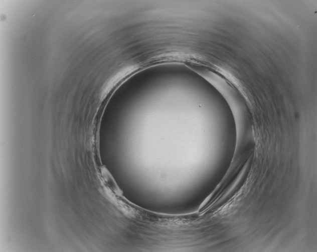 X0000086931042200704231325