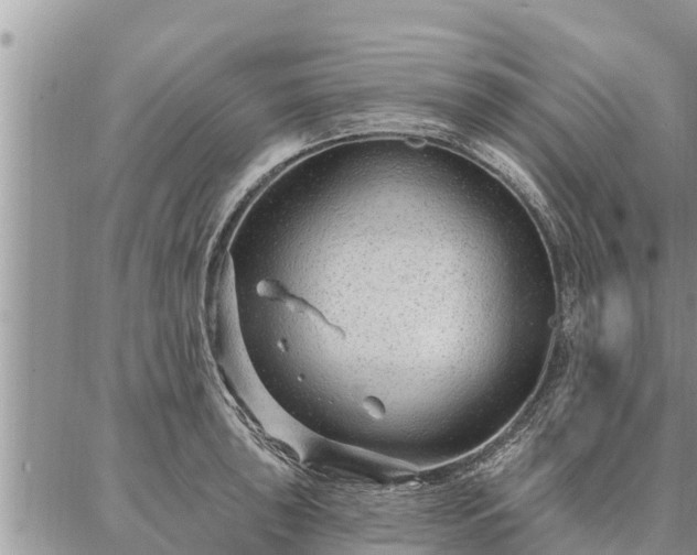 X0000086931043200704231325