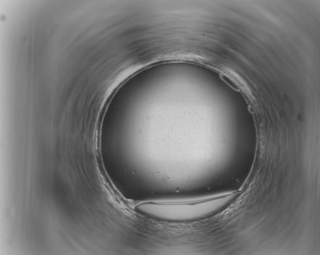 X0000086931044200704231325