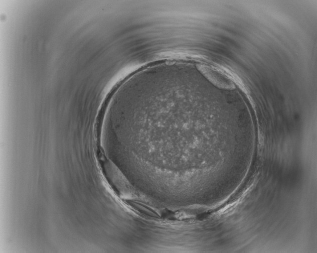 X0000086931045200704231325