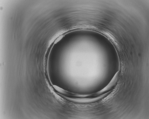 X0000086931046200704231325