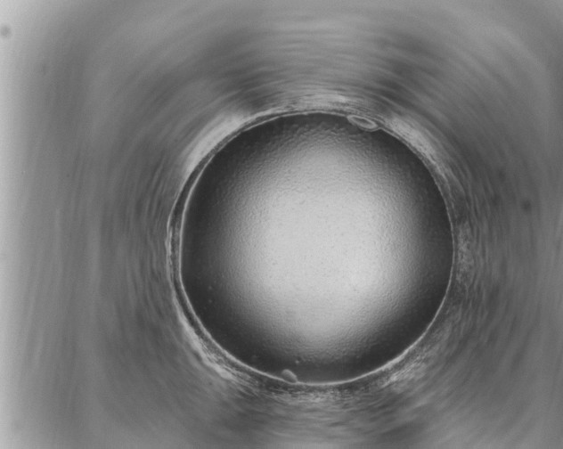 X0000086931047200704231325