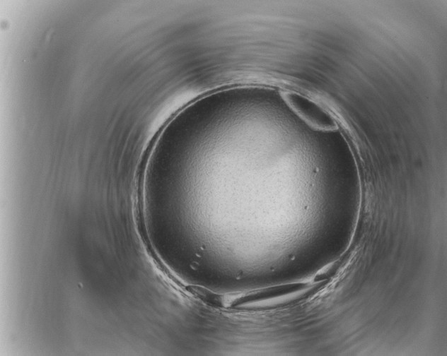 X0000086931048200704231325