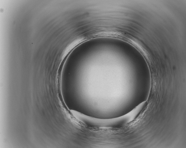 X0000086931050200704231325