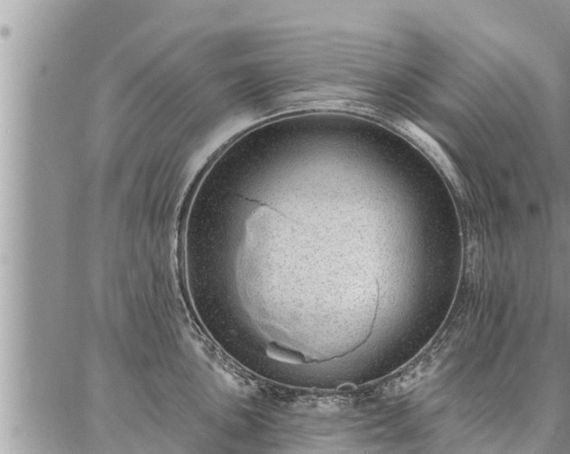 X0000086931051200704231325