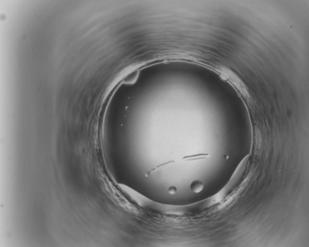 X0000086931052200704231325