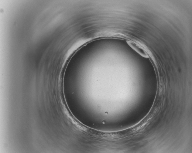 X0000086931053200704231325