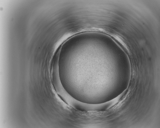 X0000086931054200704231325