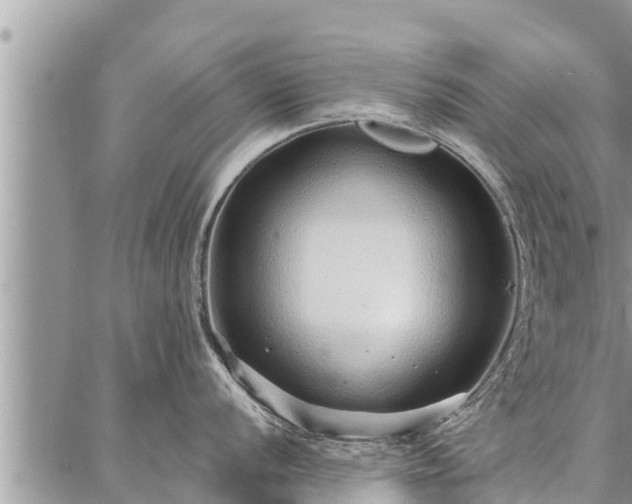 X0000086931056200704231325