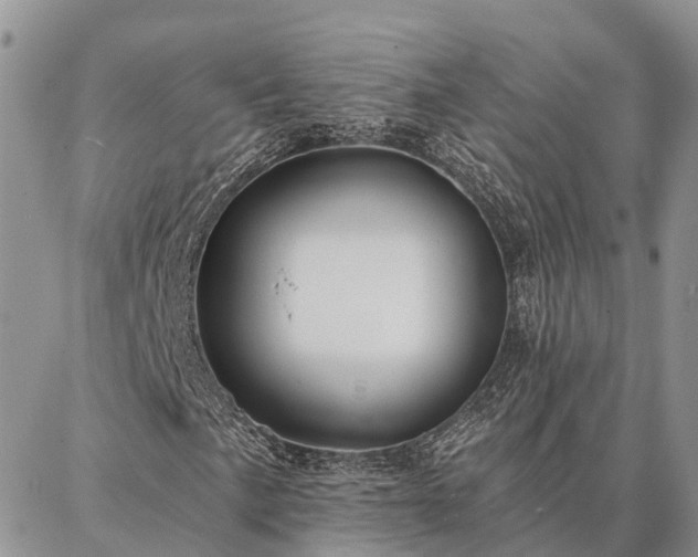 X0000086931057200704231325