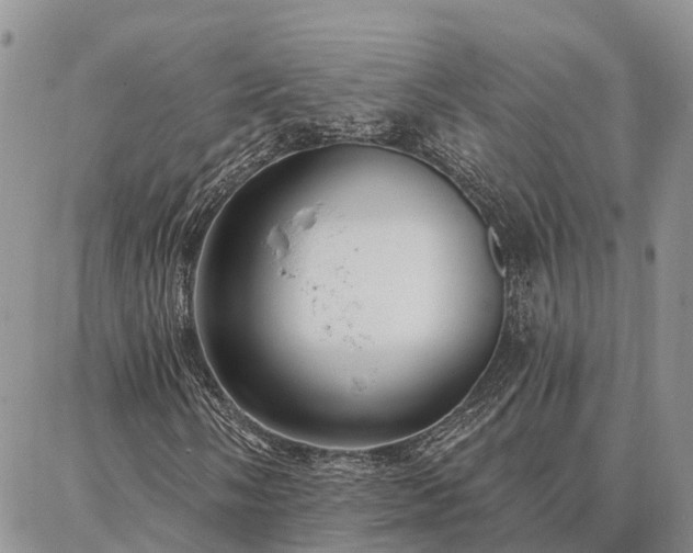 X0000086931058200704231325