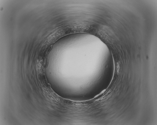 X0000086931059200704231325