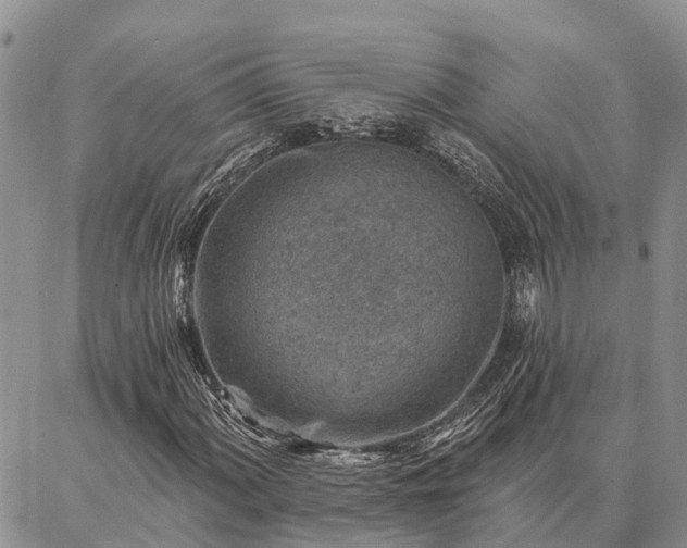 X0000086931060200704231325