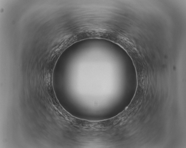 X0000086931061200704231325