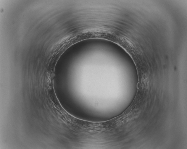 X0000086931062200704231325