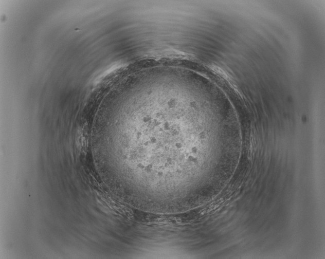 X0000086931063200704231325