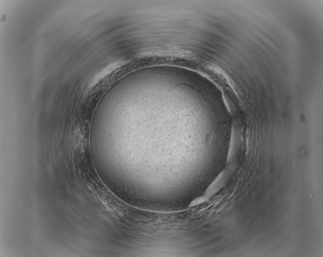 X0000086931064200704231325