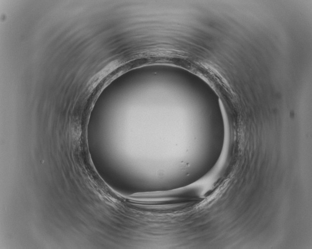 X0000086931065200704231325