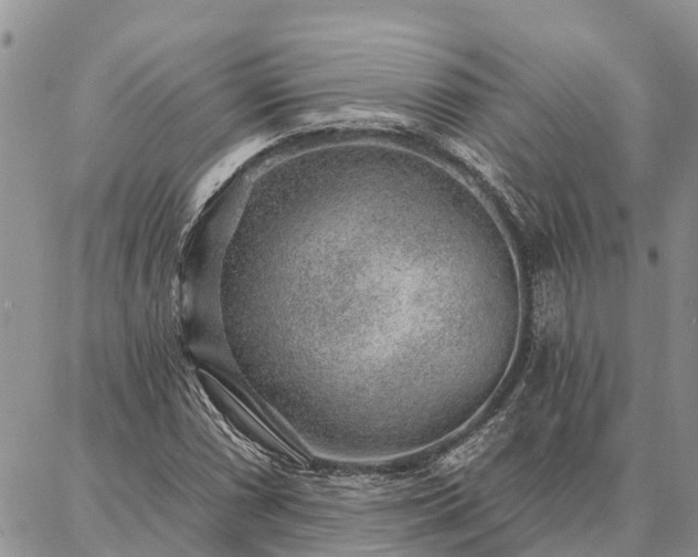 X0000086931066200704231325