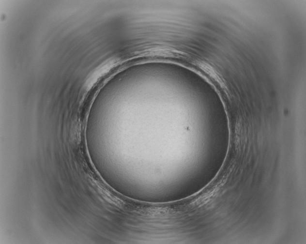 X0000086931067200704231324