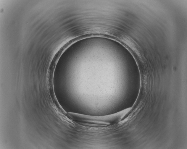 X0000086931068200704231324