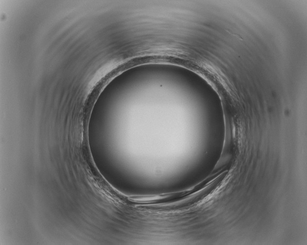 X0000086931069200704231324