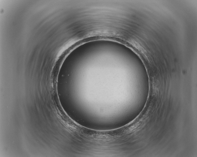 X0000086931070200704231324