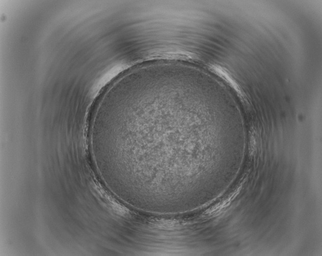 X0000086931071200704231324