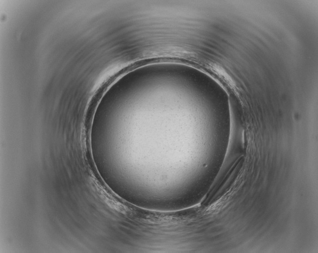 X0000086931072200704231324