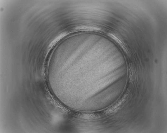 X0000086931074200704231324