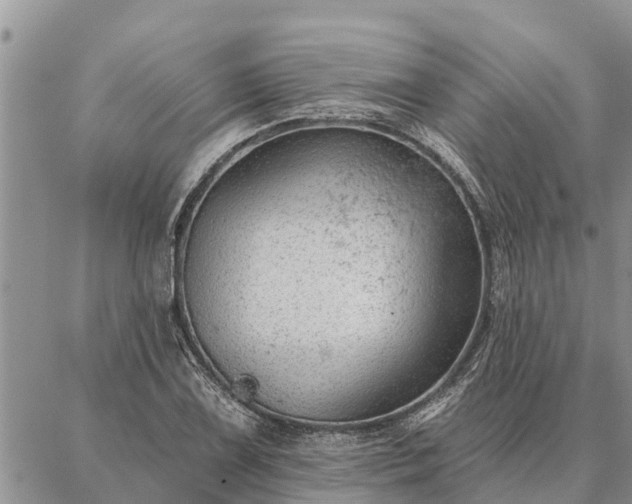 X0000086931075200704231324