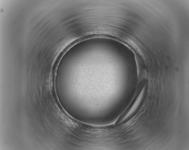 X0000086931076200704231324