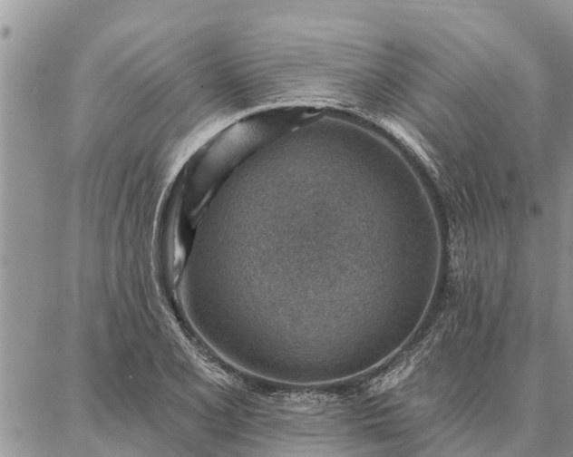 X0000086931077200704231324