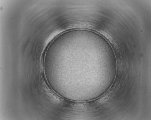 X0000086931078200704231324