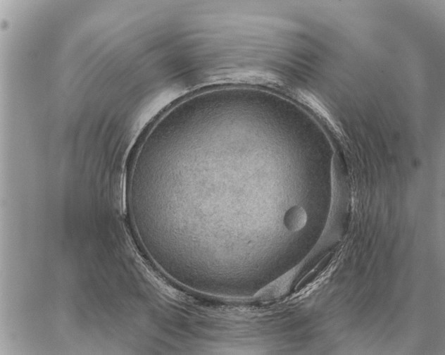 X0000086931079200704231324