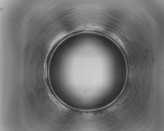 X0000086931080200704231324