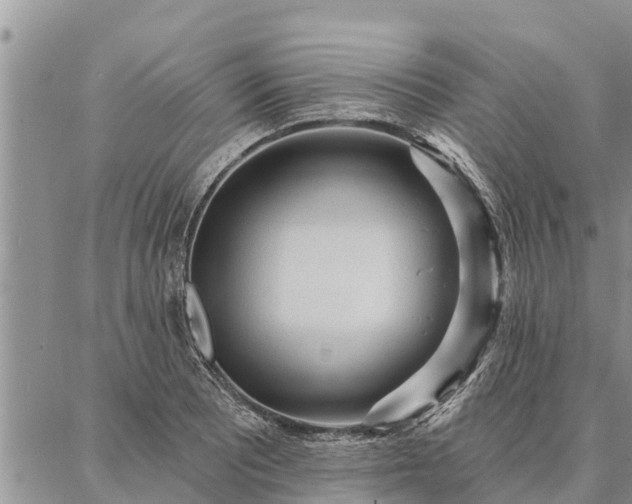 X0000086931081200704231324