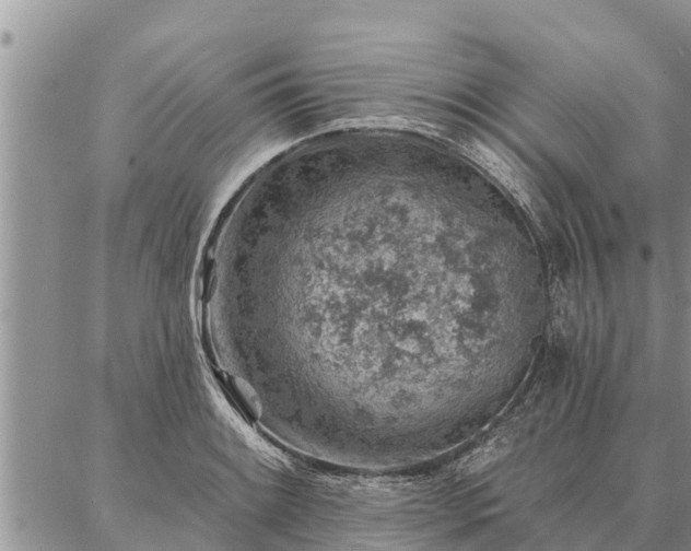 X0000086931084200704231324