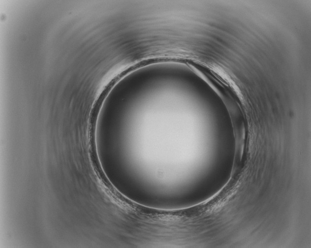 X0000086931085200704231324