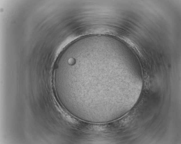 X0000086931086200704231324