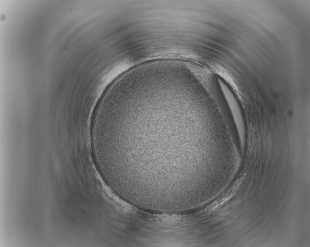 X0000086931087200704231324