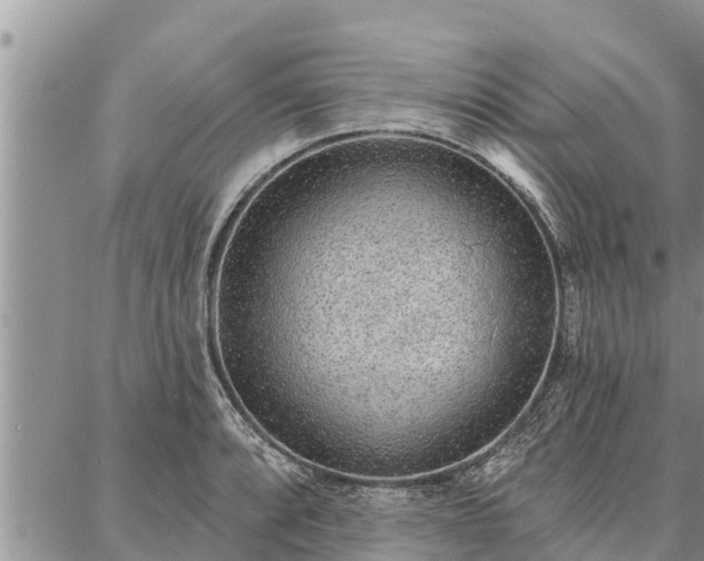 X0000086931088200704231324