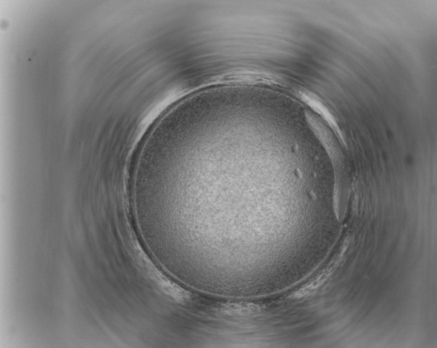 X0000086931091200704231324