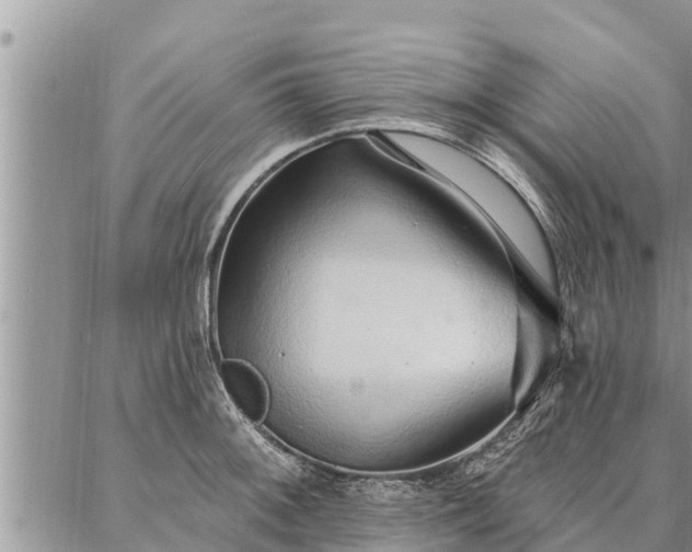 X0000086931092200704231324