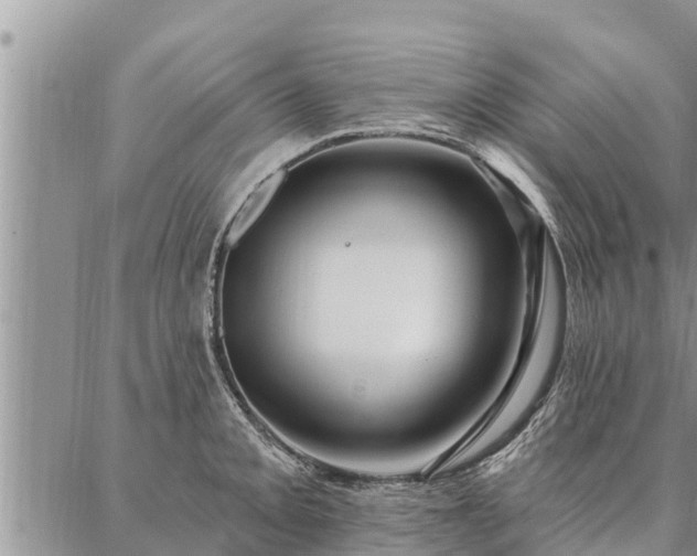 X0000086931093200704231324